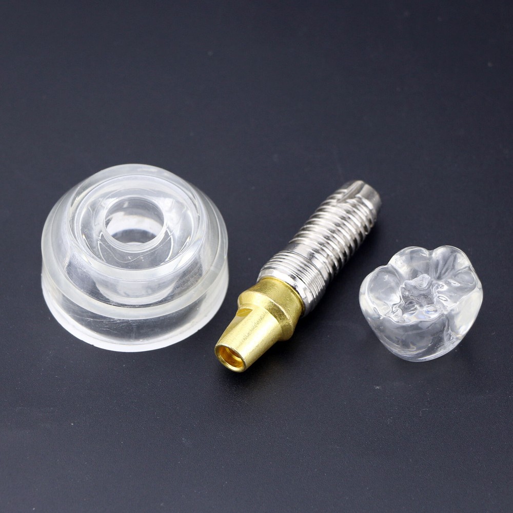 Dental Implant DemonstrationTeeth Study Teach Crown Model Acrylic Teeth Study