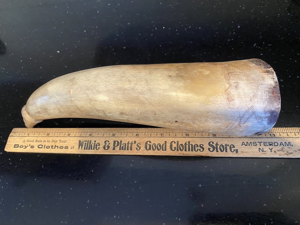 Powder Horn-NMLRA- Black Powder Muzzleloader