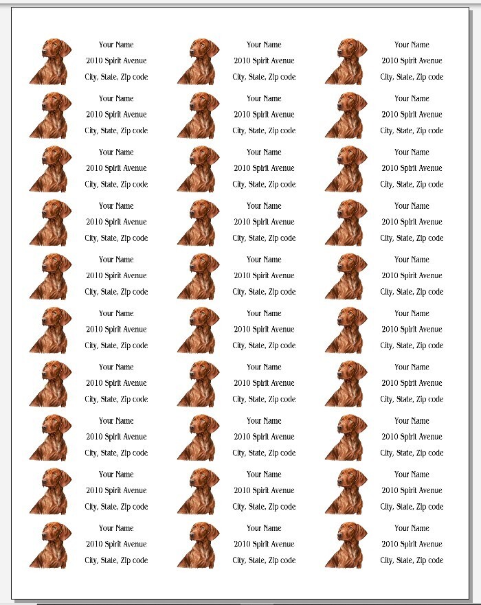 150 Cute Vizsla Dog Mailing Return Address Labels Personalized