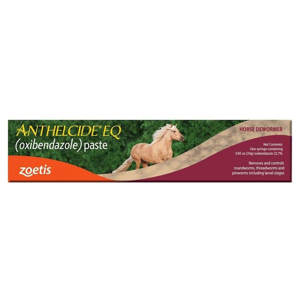 Equine Paste (24 gm) N2A1