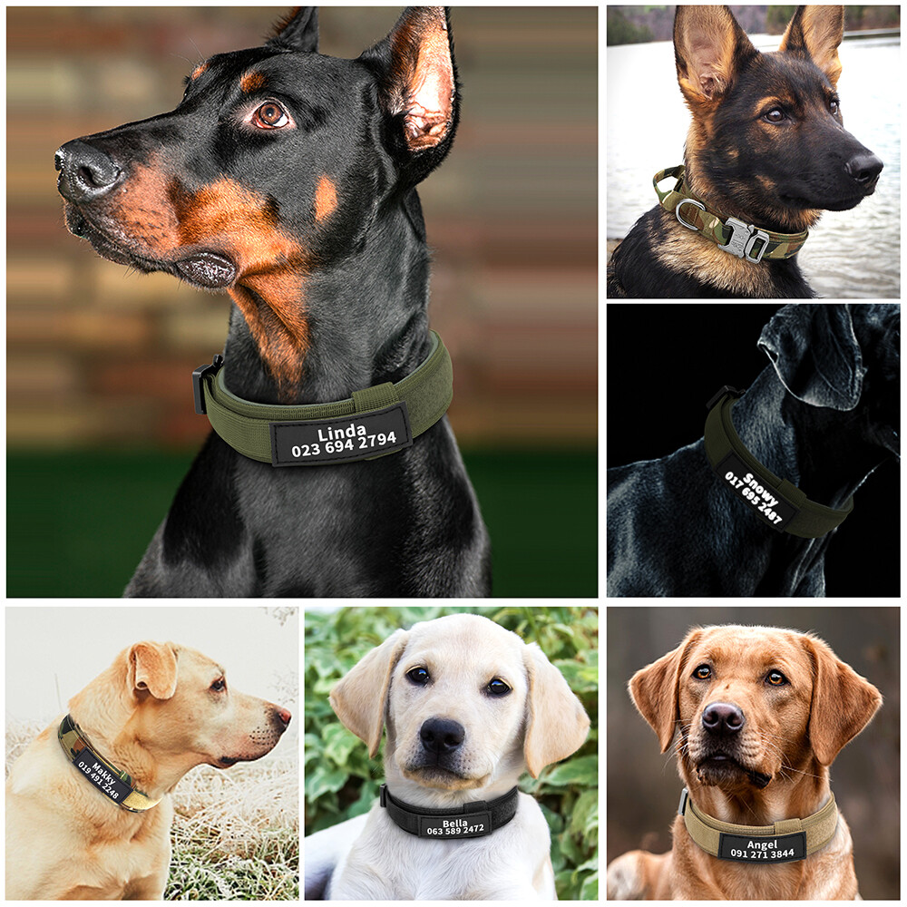 Personalized Tactical Dog Collar with Handle Military Training Custom Name Print