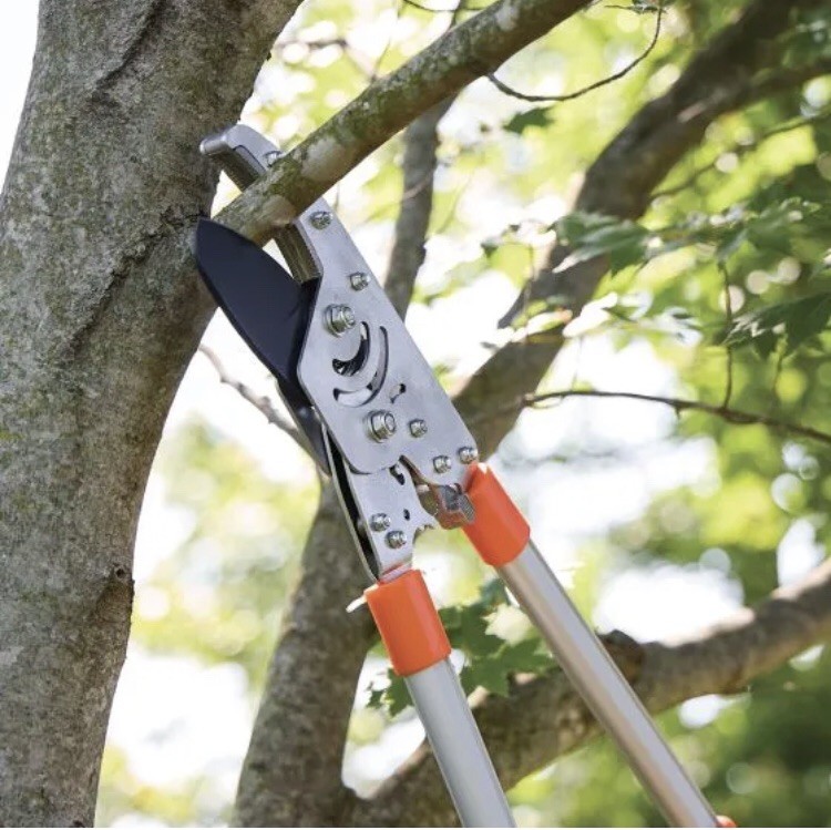 Super-Ratchet Telescopic Anvil Loppers