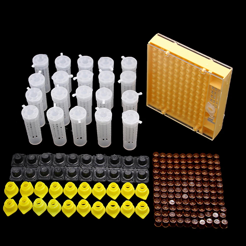 1SET Queen Bee Rearing System Kit Plastic Cell Cage Protection Cover Base Box