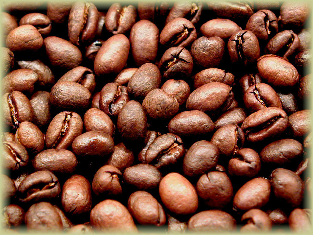 Brazilian JAZBLU Coffee Beans Peaberry Medium Roasted 2 ,5, 7 & 10/ 1 Pound Bag