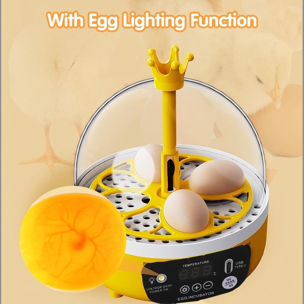 4 Eggs Mini Incubator with Transparent Lid,7W Automatic Temperature Humidity ...