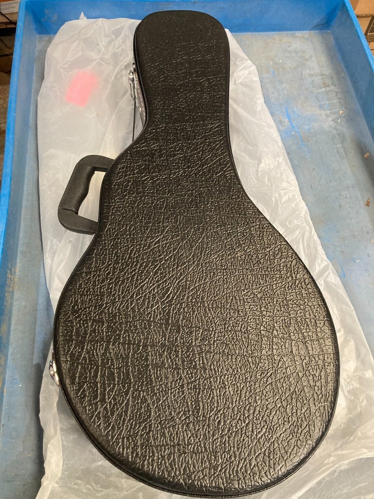 Taurus Mandolin TM-001 (Damaged case)