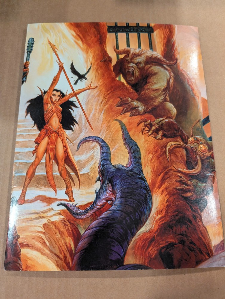 Dungeon Master's Screen & Combat Planner Dungeons & Dragons D and D 3E Nice!