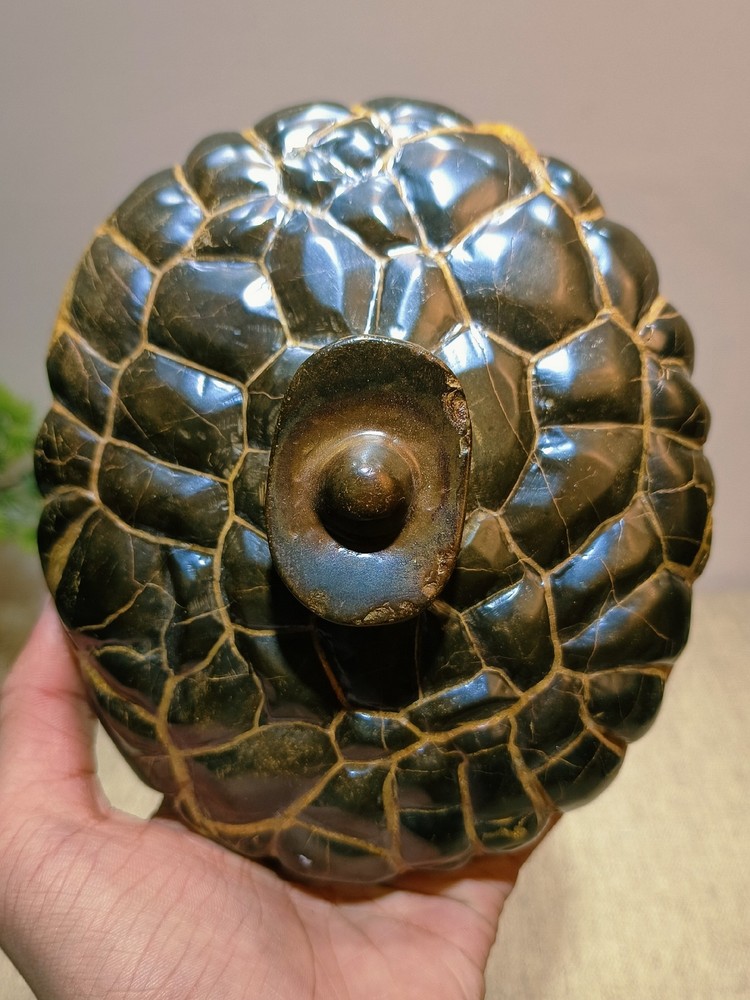 China Natural stone "tortoise back pattern" stone Moire stone 15813769