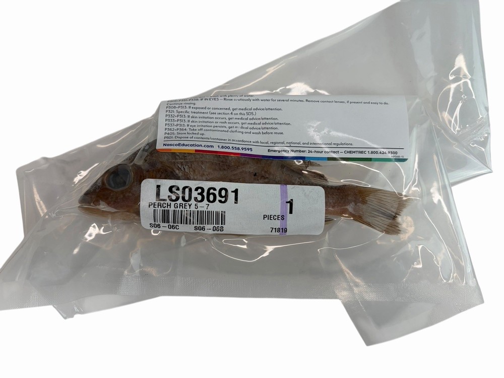Dissection Kit Rainbow Resource Homeschool Lab~Fetal Pig~Perch~Grasshopper