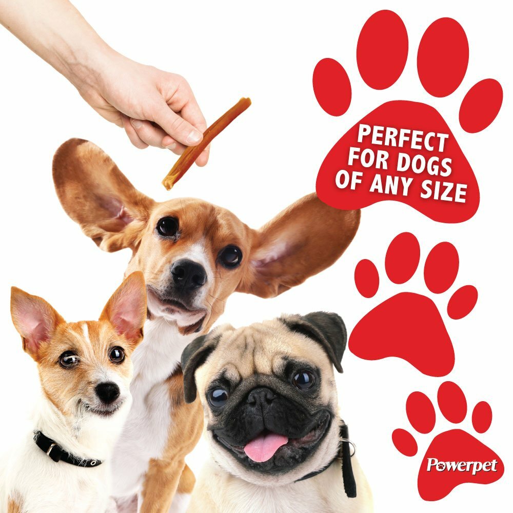 All Natural 4" Bully Jumbo Thick Sticks FDA & USDA APPROVED