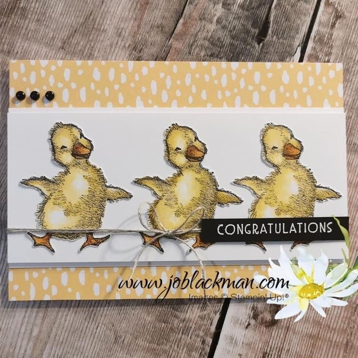 Stampin Up! EASTER FRIENDS Stamp Set & Pretty DSP. #346