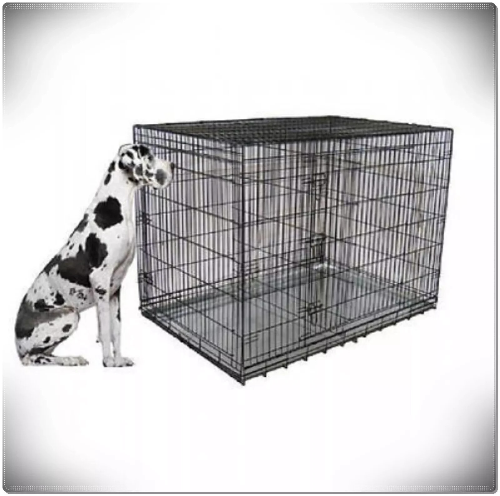 XXL Large Dog Crate Kennel Extra Huge Folding Pet Wire Cage Giant Breed Size