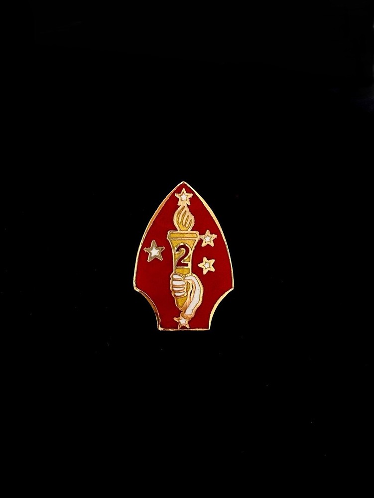 2ND Marine Division Lapel Pin USMC