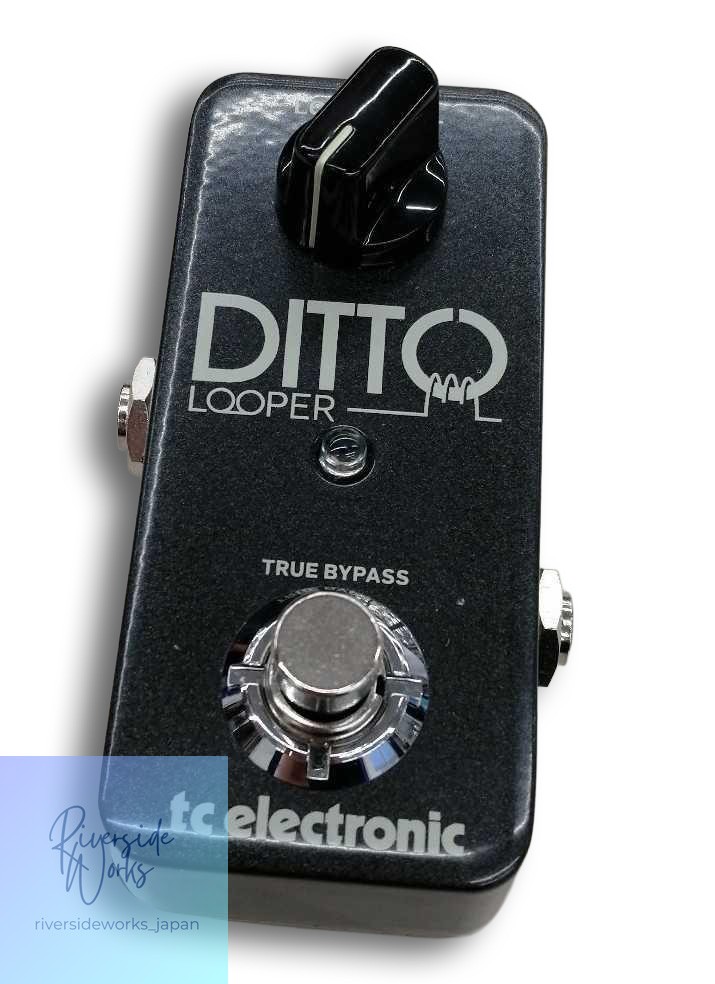 TC ELECTRONIC DITTO LOOPER Effect Pedal - Looping Tool JP