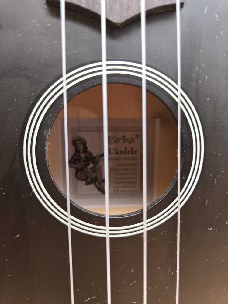 Everjoys Beginner Handmade Hawaiian Ukulele Starter Kit.