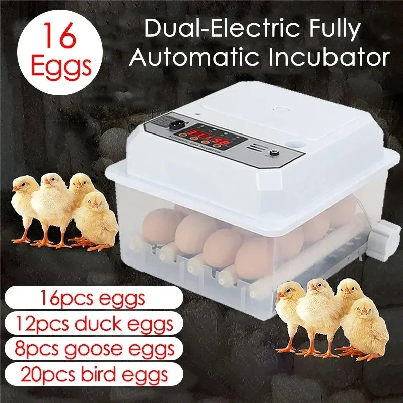 Compact Fully Automatic 16 Eggs Poultry Incubator Energy-Saving Dual-Mode for Ha