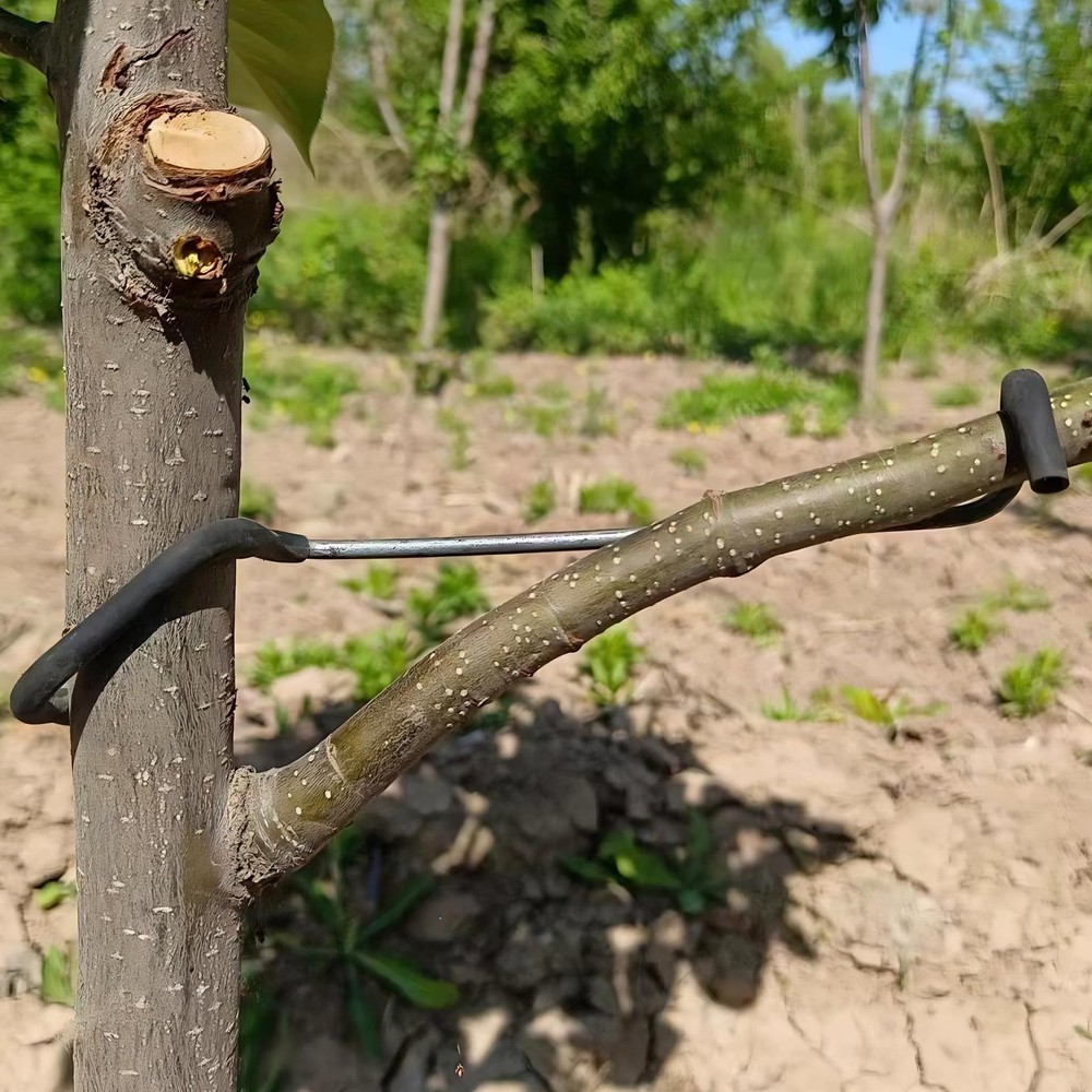 20pcs Fruit Tree Limb Spreader 7in Branch Puller Garden Training Tool