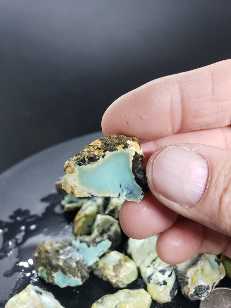 Nevada Gecko Variscite Rough 1/4 Lb
