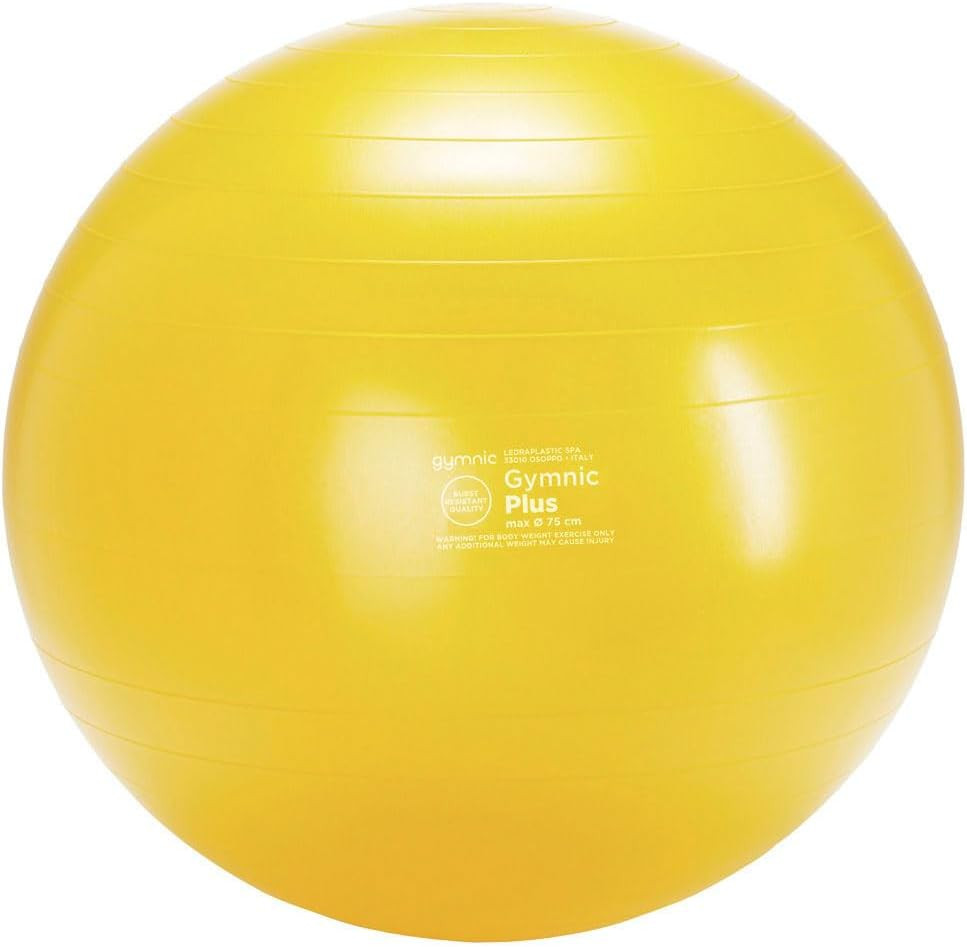 Classic plus Burst-Resistant Exercise Ball