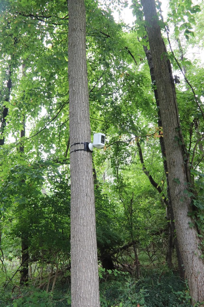 Tree Mount for Eufy Camera - No Drill Rubber Outdoor Security Camera Mount