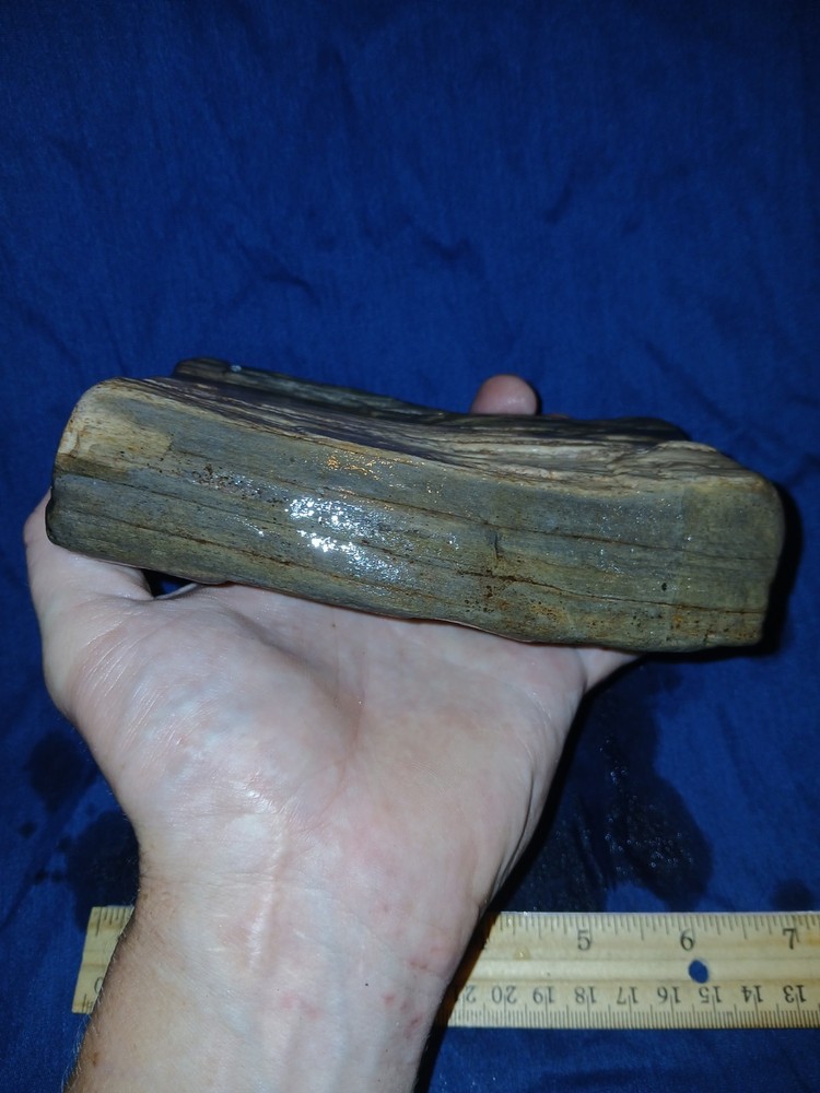 30 oz Petrified Wood
