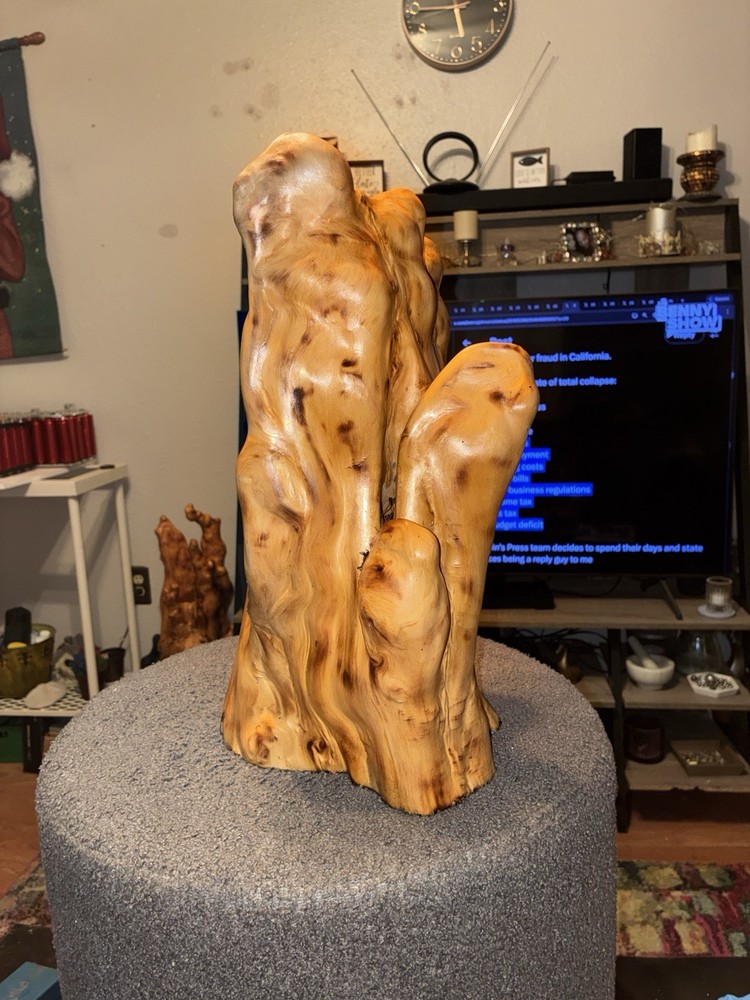 “SWAMP DONG “ Original Cypress Artwork
