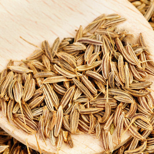 Cumin Herb Seeds For Planting | Heirloom | Free Shipping | Herb Seeds | 1147