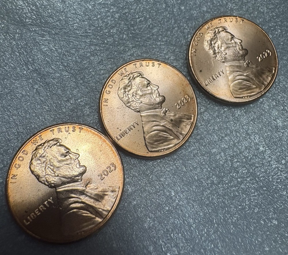 2023 P WOUNDED HEAD LINCOLN from a BU ROLL