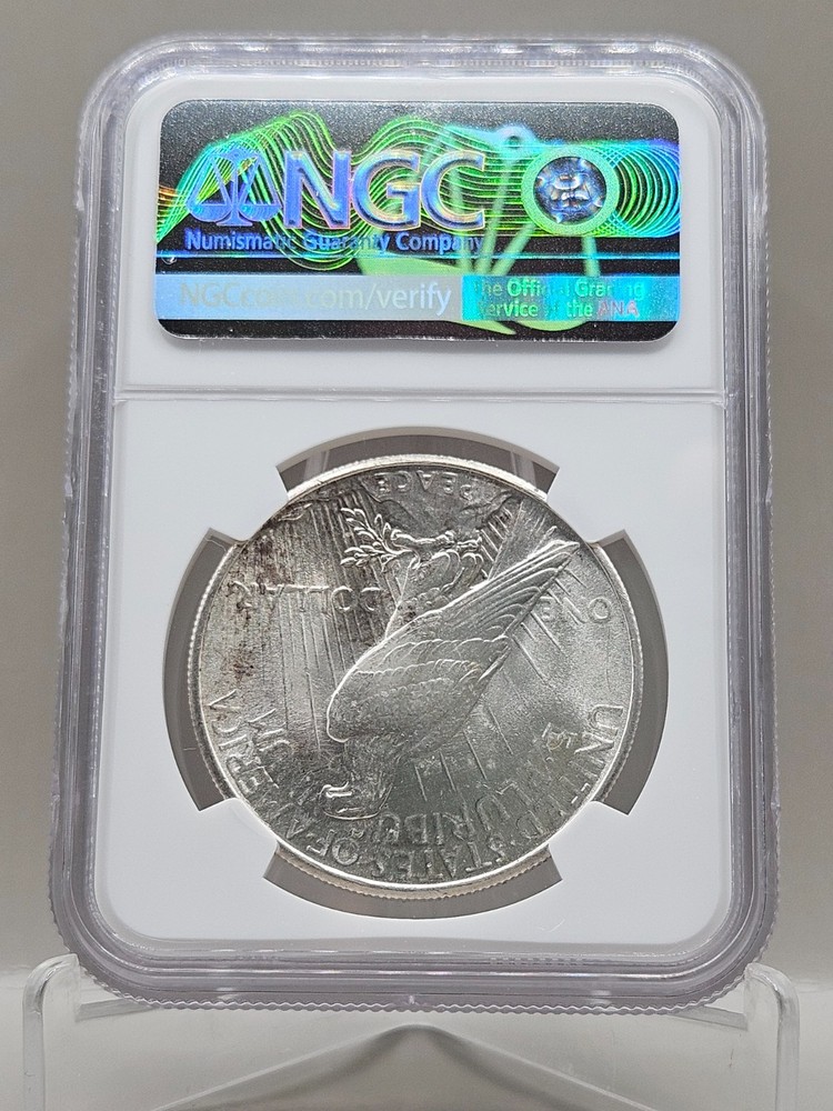 1925 Peace Silver Dollar NGC MS 64