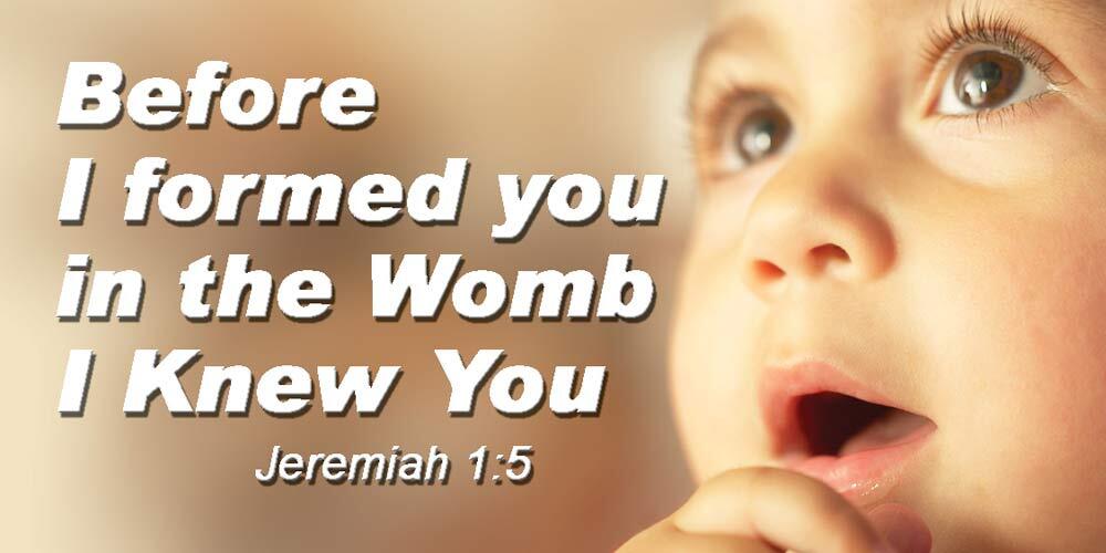 Before I Formed You Pro-Life Vinyl Sign