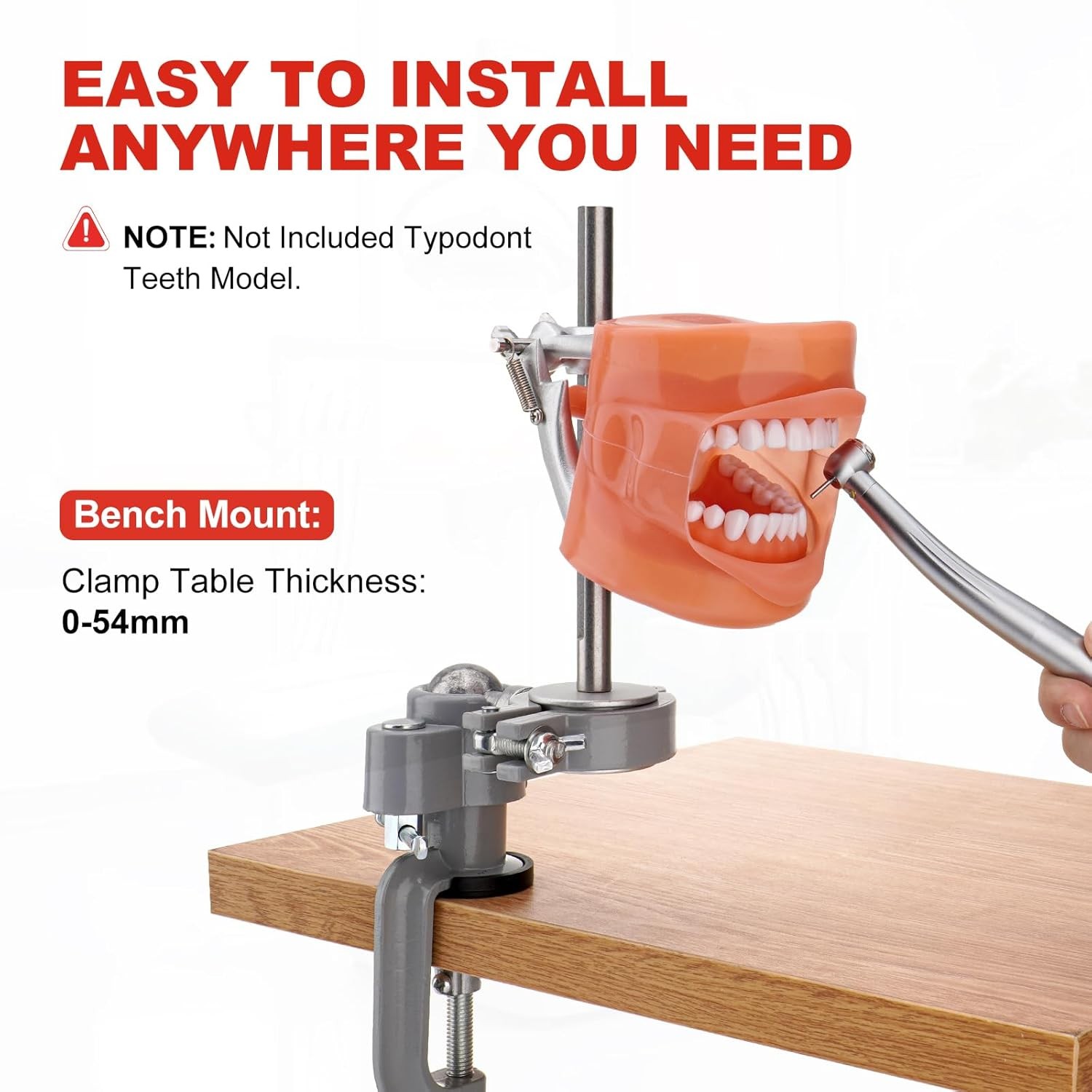 Dental Typodont Mounting Pole Fit For Kilgore Nissin Columbia Dentoform Frasaco
