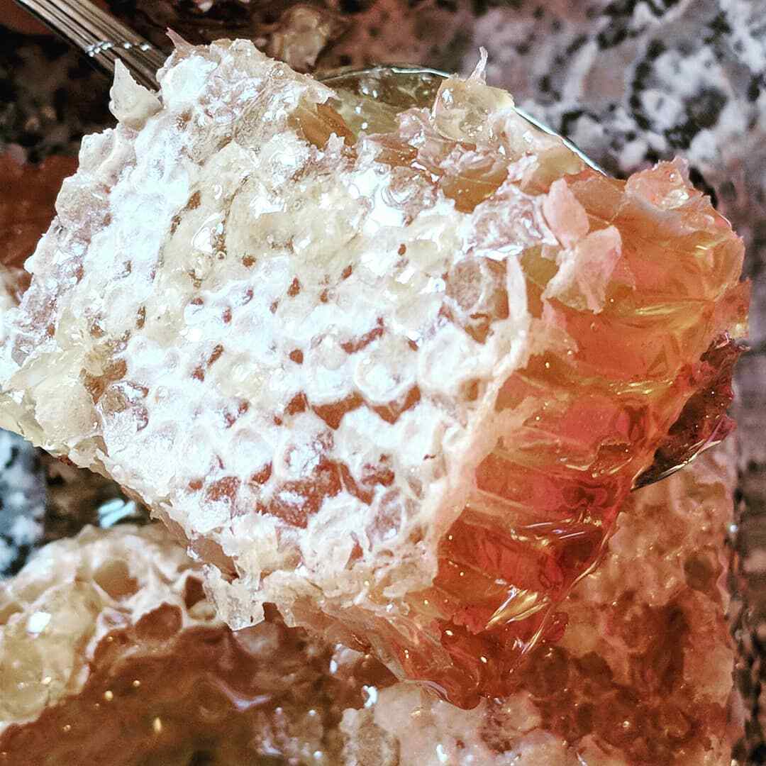 PREMIUM HONEY RAW GALLBERRY COMB 12oz 100% PURE UNFILTERED USA HONEYCOMB