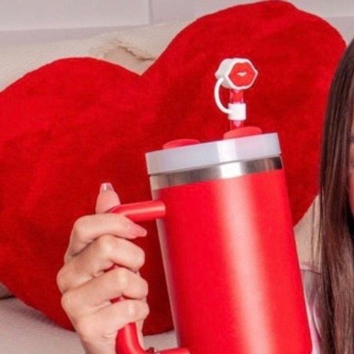 CharCharms Silicone Straw Toppers 4-Pack Hearts Lips Cherries Pink Red New