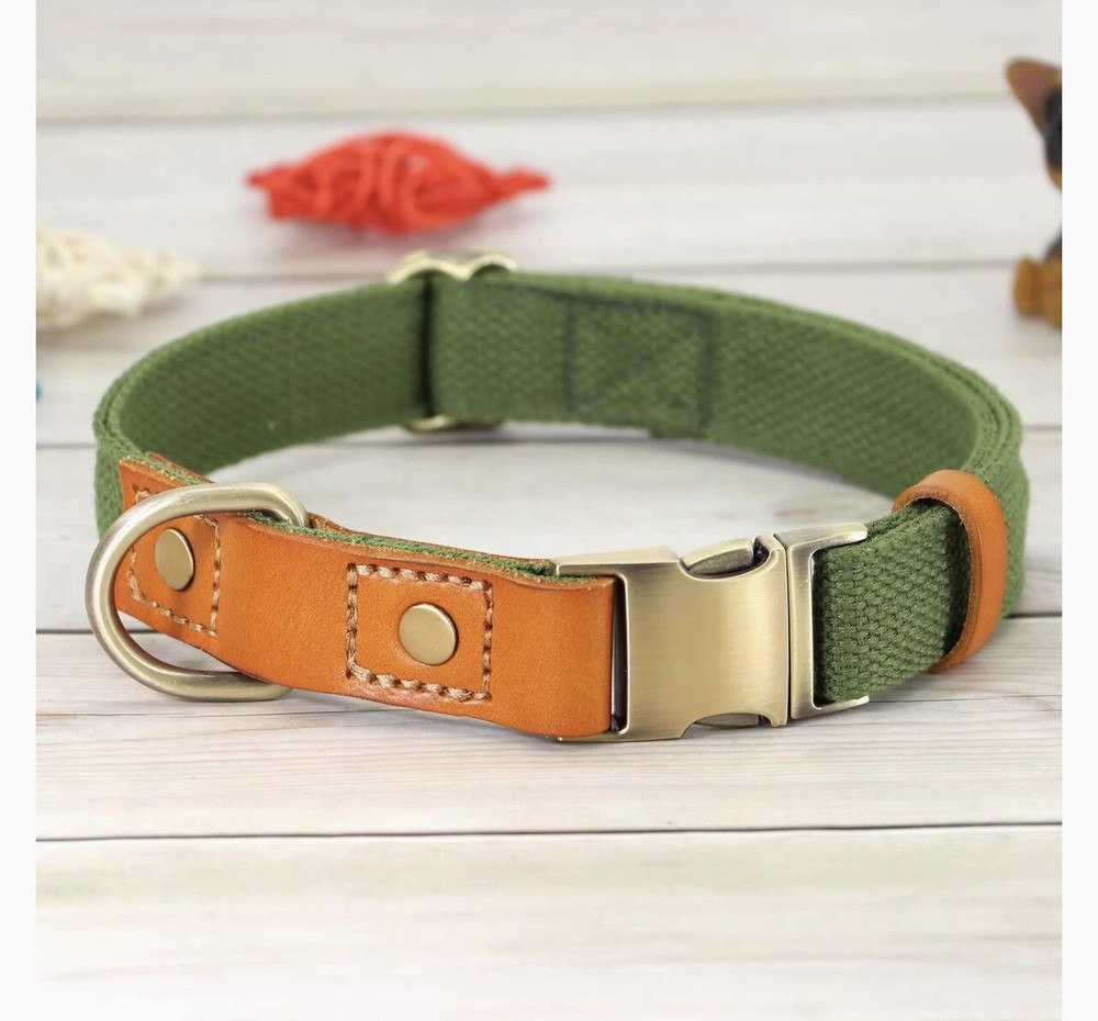 NWOT … DIDOG Durable / Adjustable “Size: M” Dog Collar