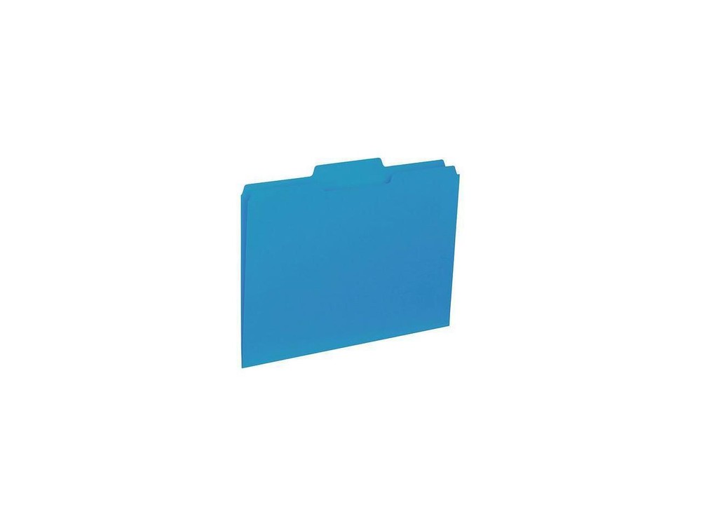 Business Source File Folder Interior Ltr 1/3" Cut 100/BX Blue 43562
