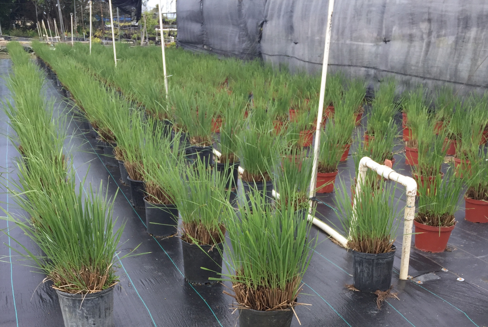 Weed Block Landscape Fabric Woven UV Resistant Commercial Grade 3.2oz 8x300ft