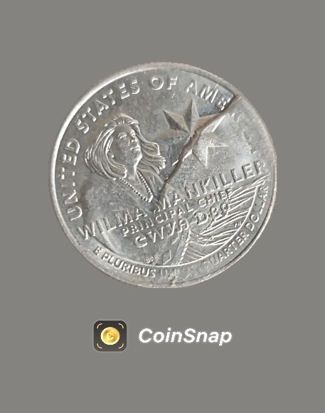 wilma mankiller quarter error Retaining Die Break