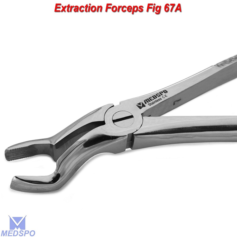 Surgical Extracting Forceps Upper Wisdom Forceps Fig-67 Dental Tooth Extraction