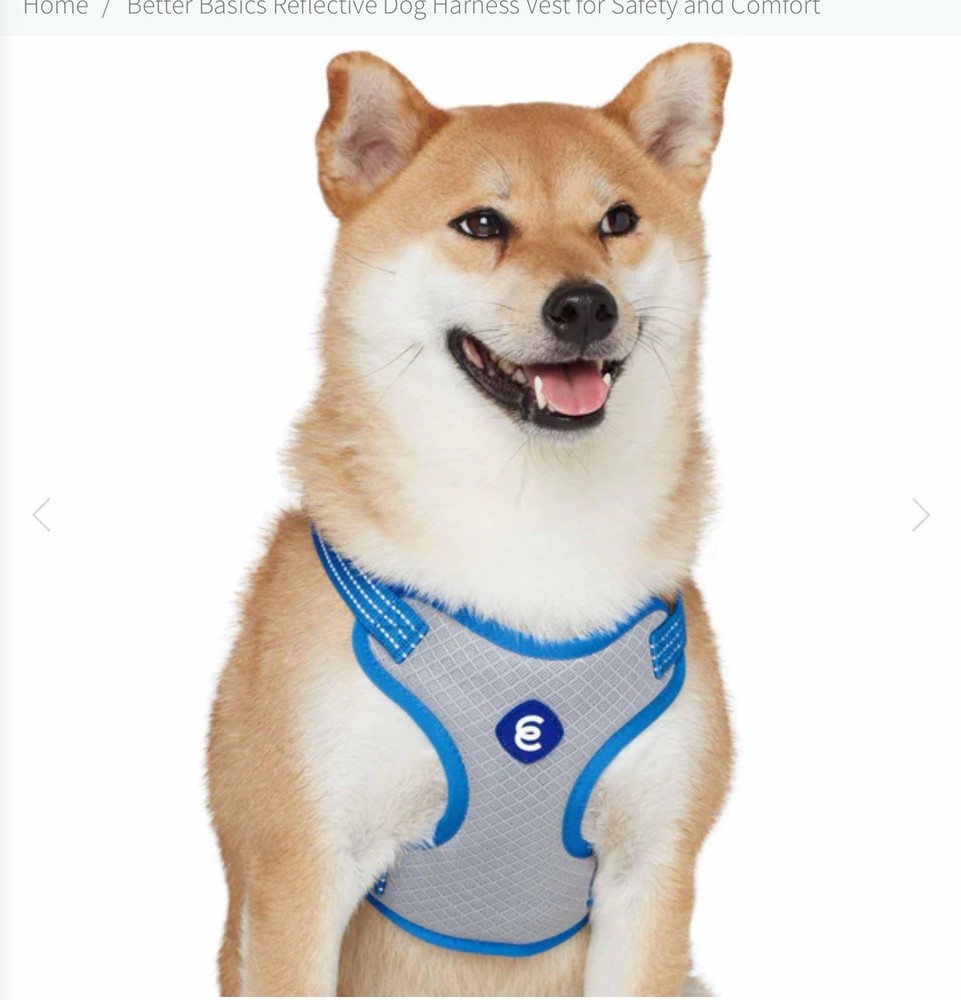 Essentials Dog Harness Blue large