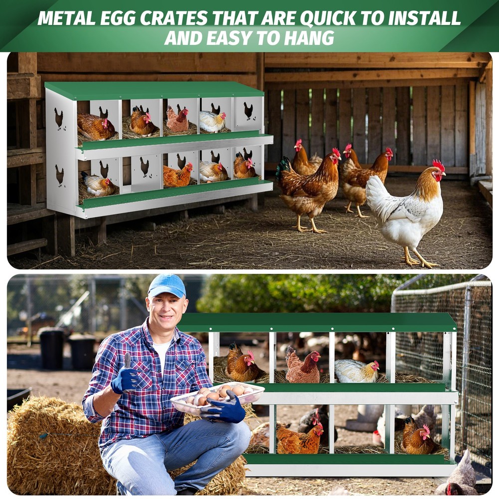 10 Holes Chicken Nesting Box, Metal Chicken Nesting Boxes, without Bracket Legs