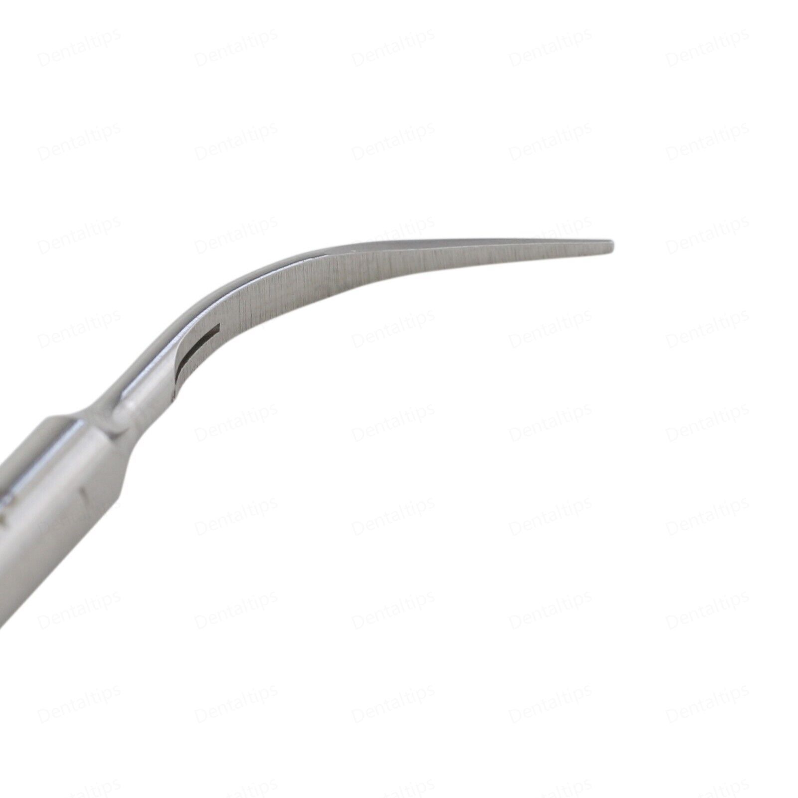 Dental Ultrasonic Scaler Scaling Tips 1S Fit Acteon Satelec Scaler P5 Handpieces