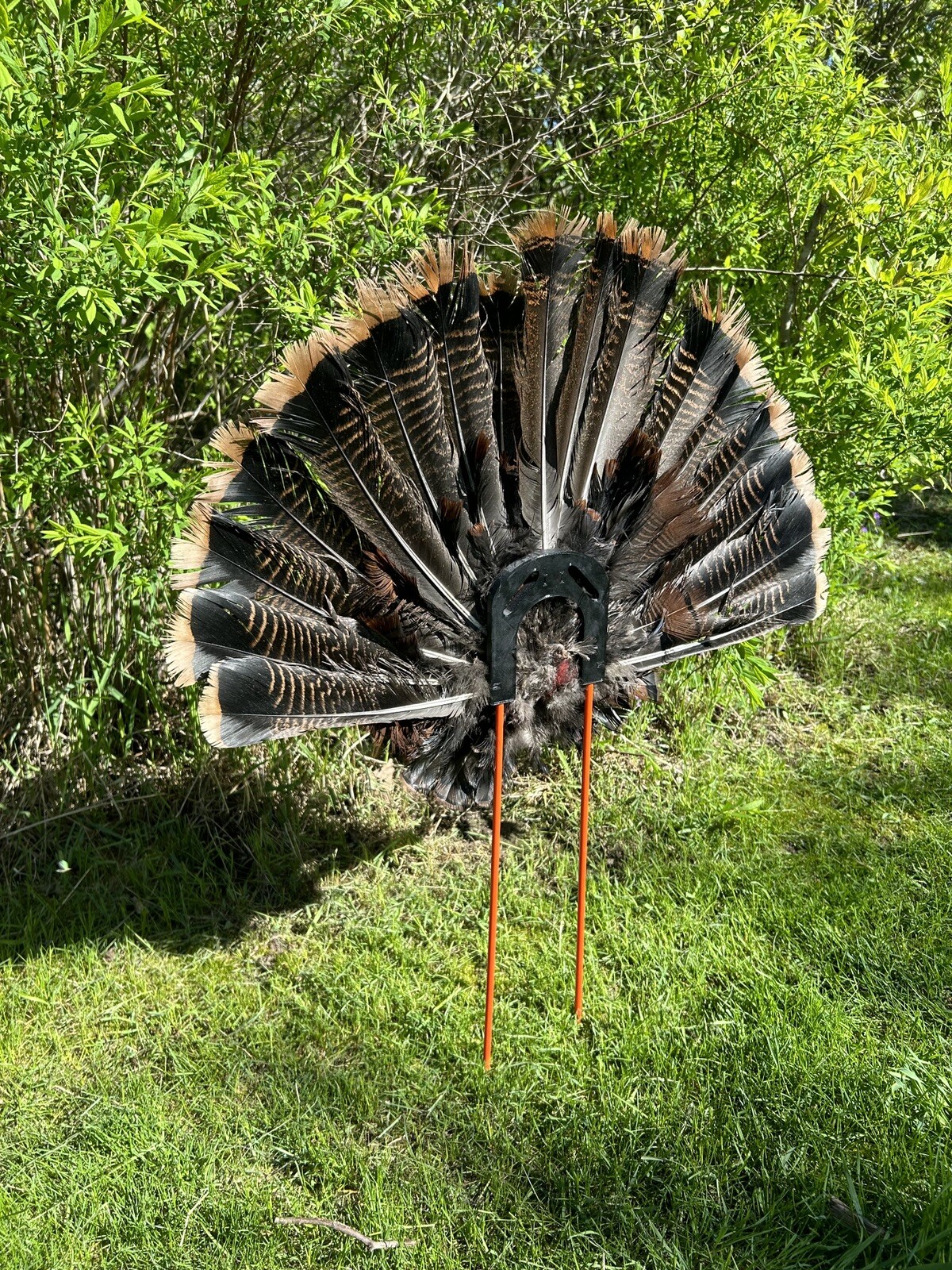 Turkey Hunting Fan Decoy Mount - Wall Mount, Hunt, & Preserve - Fan Not Included