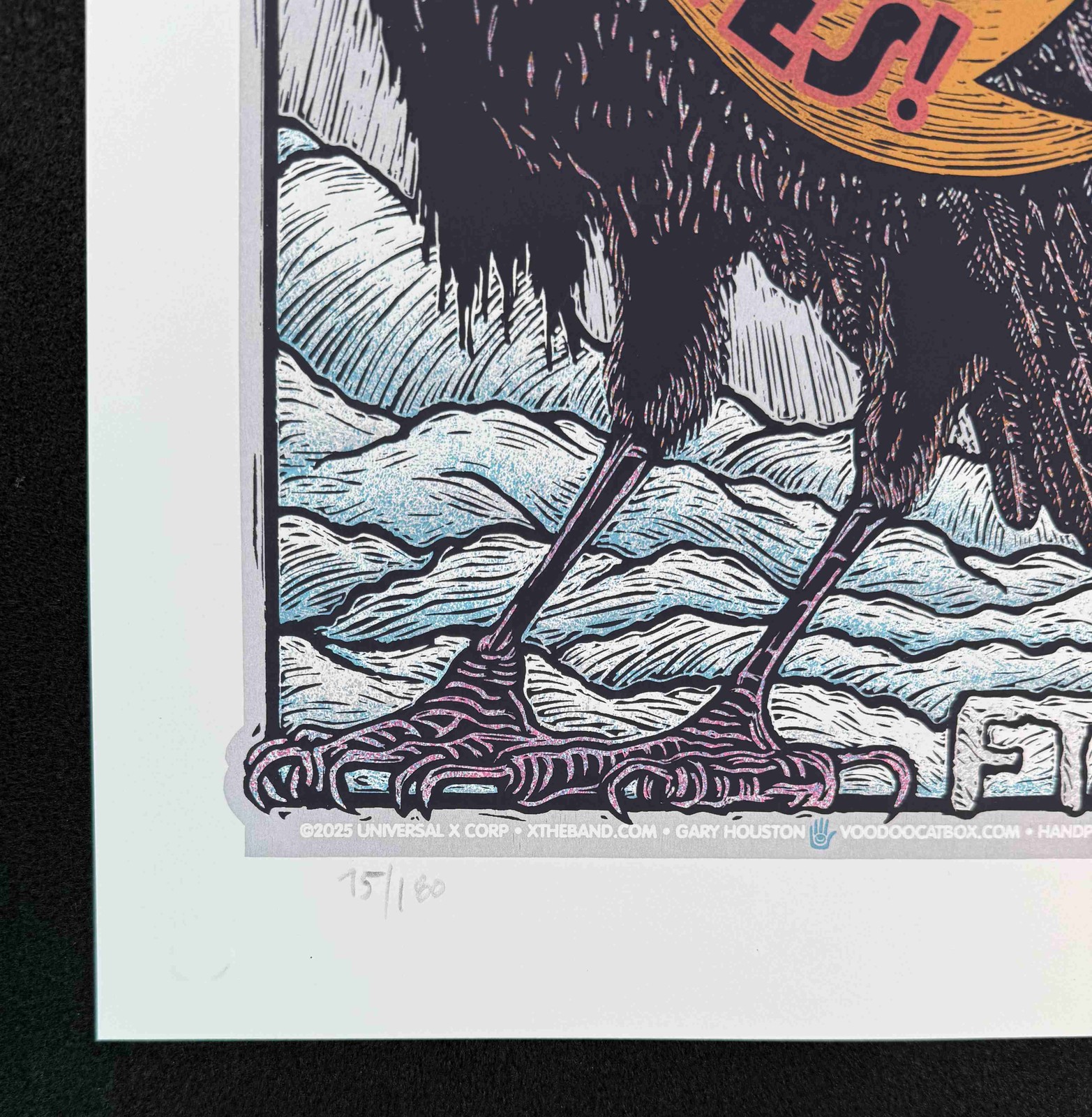 X Exene, DJ, Billy, John + The Delines Crystal Ballroom 2025 Signed Gary Houston