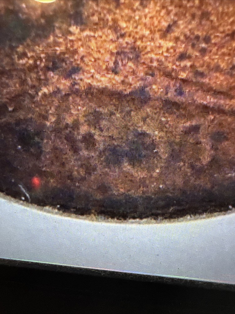 1803 Large Cent Draped Bust