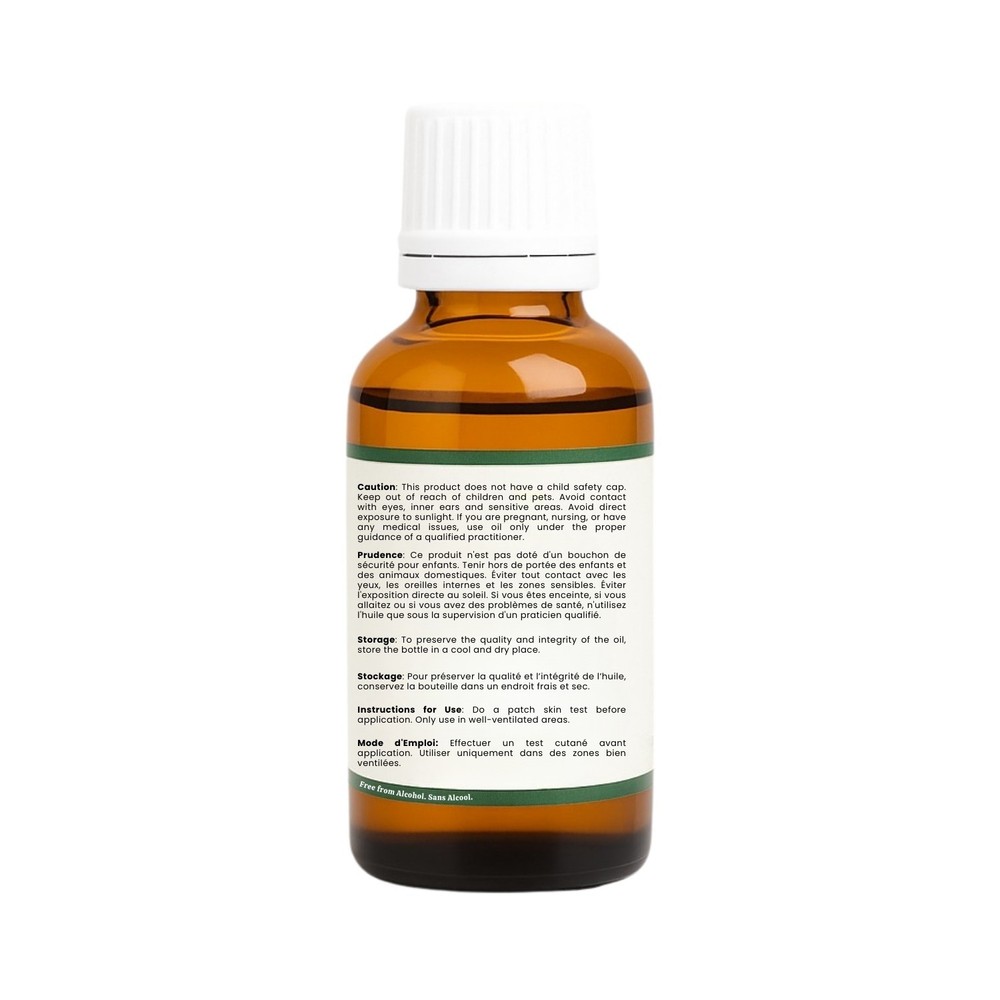 Turmeric Oil Curcuma Longa