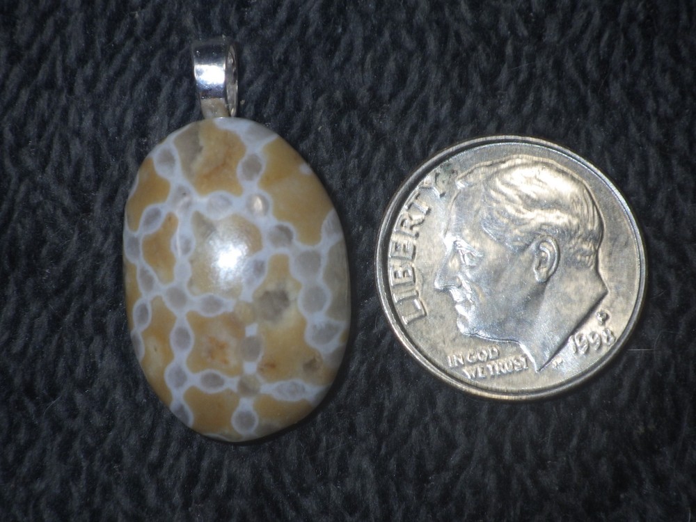 Chain Coral Halysites Pendant