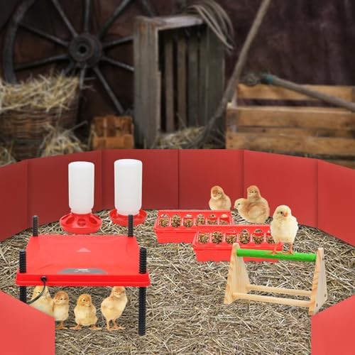 Chick Brooder Box,Chick Starter Kit with Chicken Brooder brooder plate L