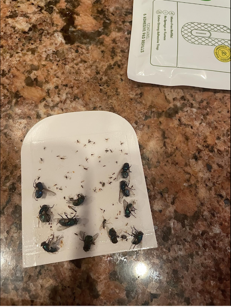 BugMD No Fly Zone Refillable UV Bug Zapper, Mosquito Zapper, Flying Insect Trap