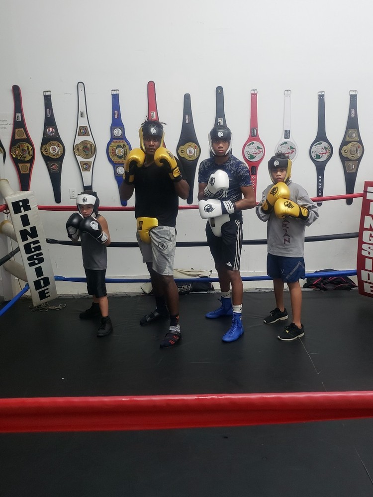 Custom handmade 14oz training sparring bag boxing MMS gloves