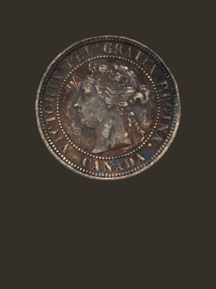 1876 H Canada Large One Cent Coin - VG (Very Good) condition